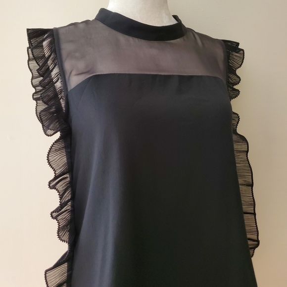 Pinko Silk Ruffle Blouse - Picture 5 of 14